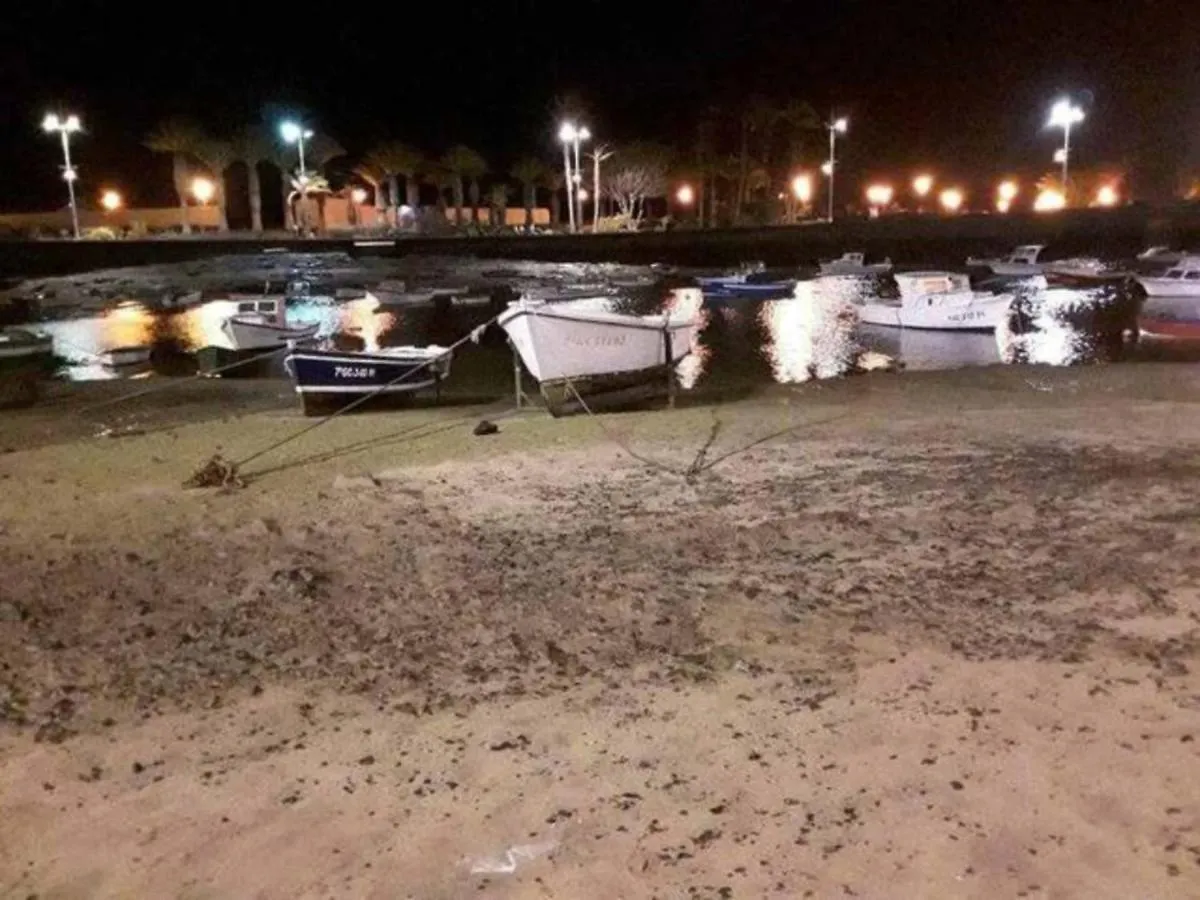 Las 3 Palmeras Arrecife